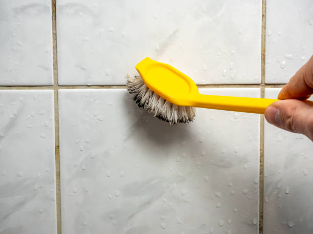 Best Best Mold Removal Companies  in Deephaven, MN
