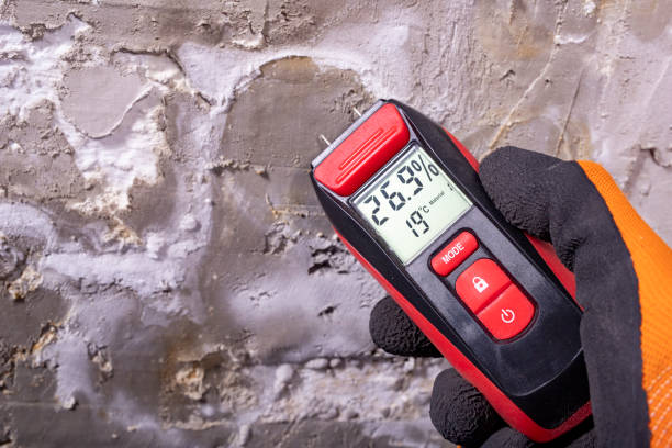 Best Mold Damage Repair  in Deephaven, MN