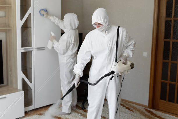 Home Mold Removal in Deephaven, MN