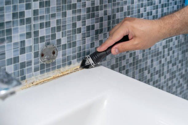 Best Office Mold Removal Services  in Deephaven, MN