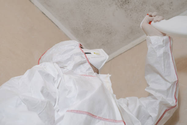 Best Mold Testing  in Deephaven, MN
